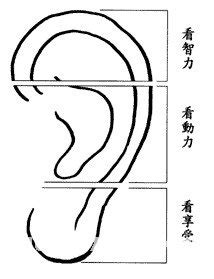 兩耳不一樣三十定吉凶|耳朵面相算命圖解大全